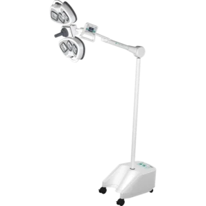 auxiliar2P